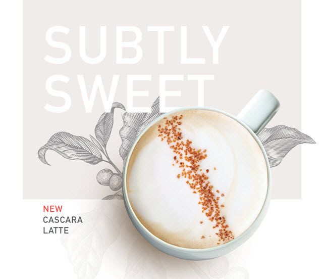 d3e8064bfbe4960934747f6900759a44--latte-branding